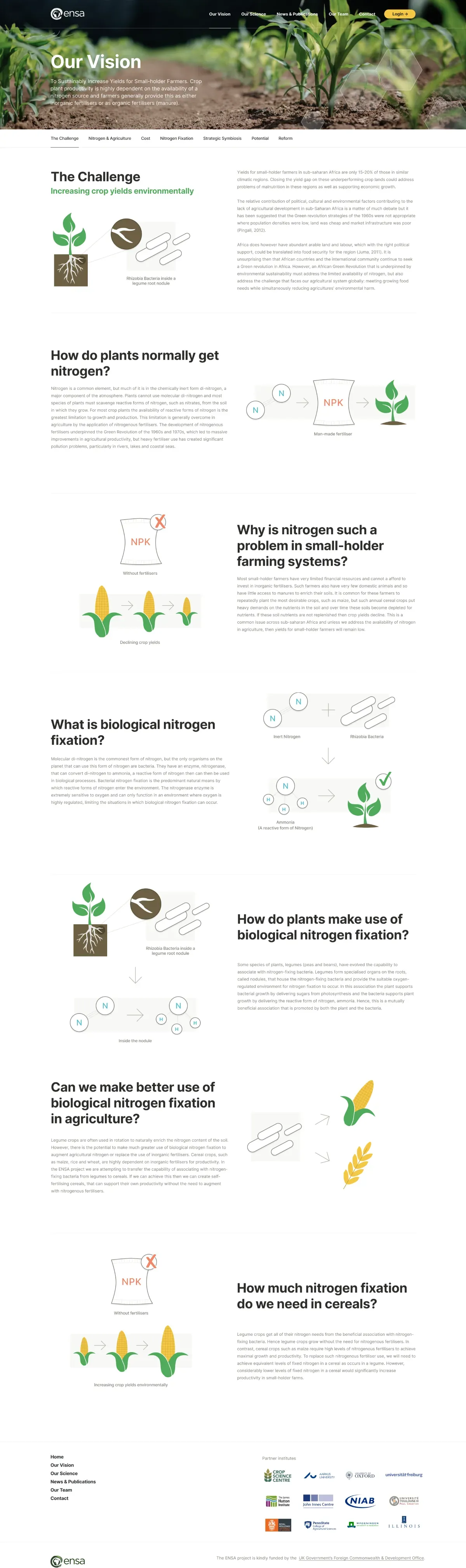 Illustrated diagrams explaining ENSA’s research